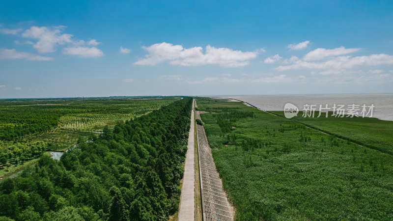 航拍上海崇明岛长江大桥