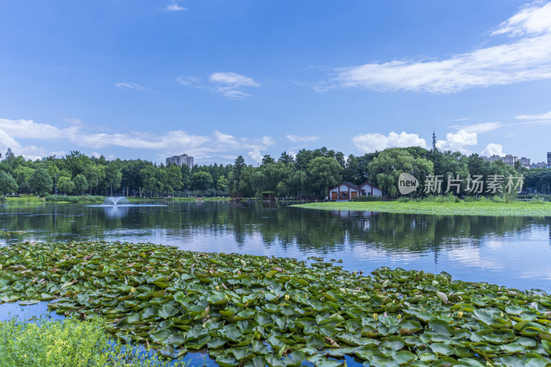 武汉武昌区紫阳公园风景