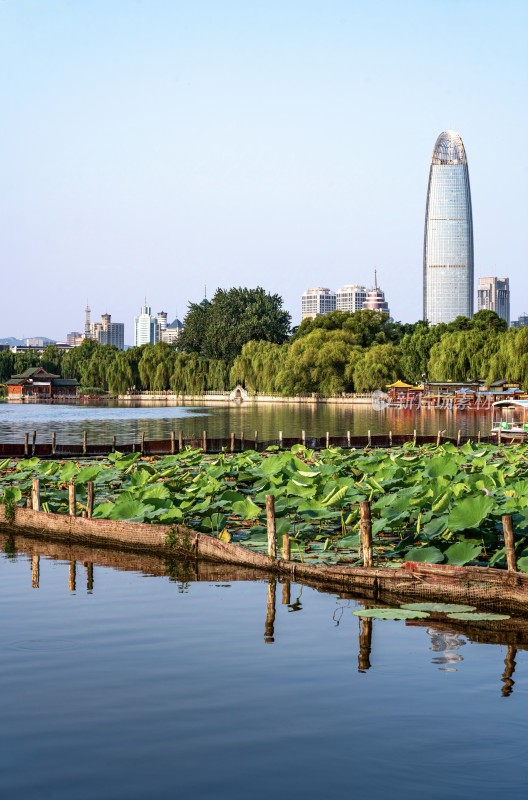 济南大明湖湖畔城市高楼倒影景观