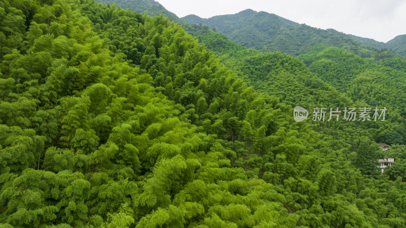 浙江省湖州安吉青山绿水竹山竹海航拍