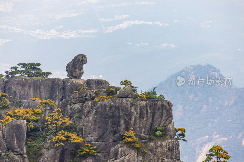 安徽黄山风景区自然风光迎客松 (4)