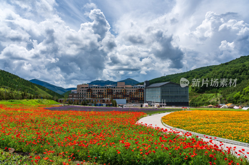 张家口崇礼夏日旅游山谷花海风光美景