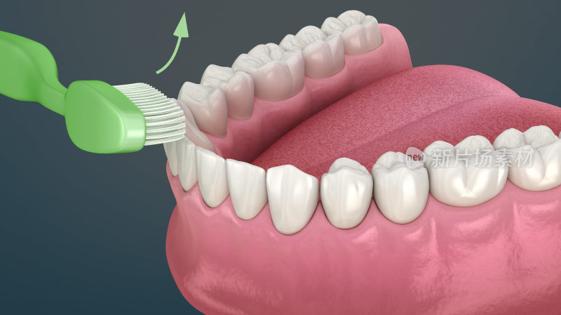 口腔医学牙齿健康口腔卫生牙齿插图刷牙