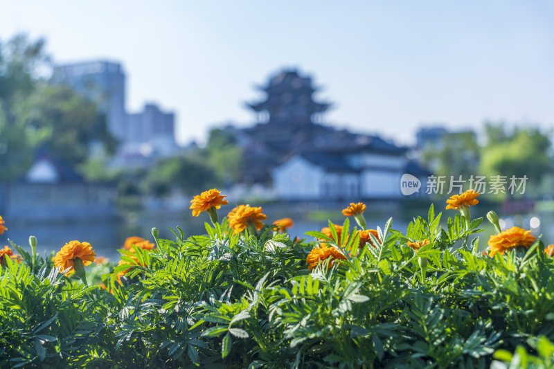 武汉武昌区紫阳公园风景