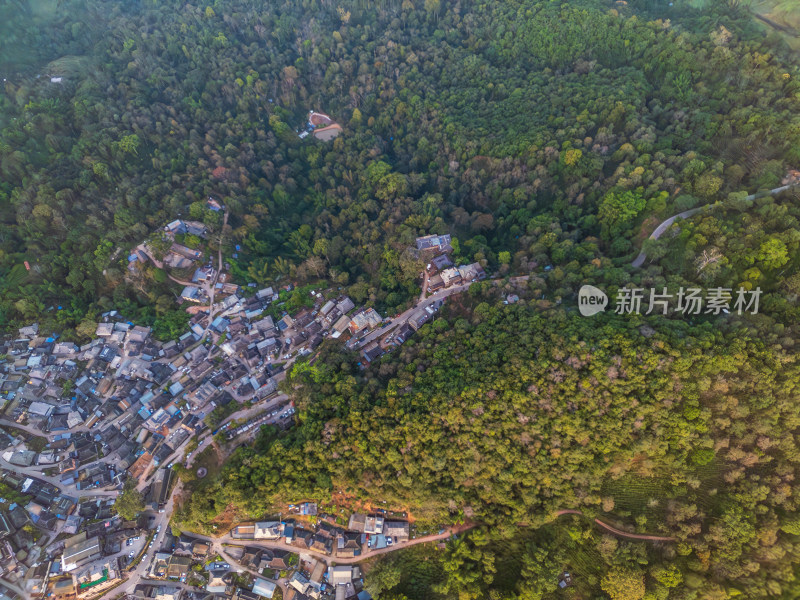 航拍被森林环绕的景迈山村庄全景