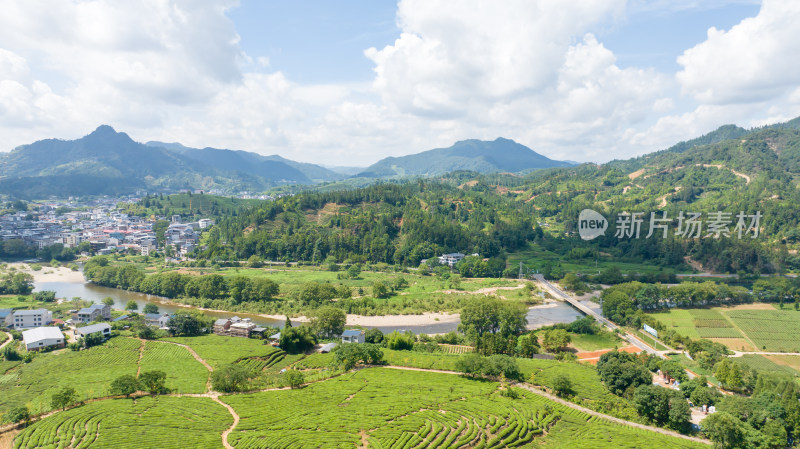 武夷山茶山梯田茶园 优质大红袍产区