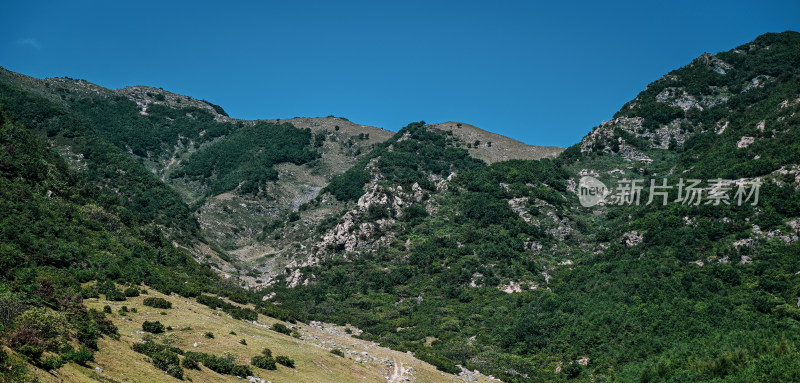 大山深处