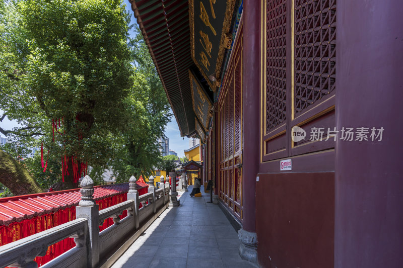 武汉洪山区宝通禅寺风景