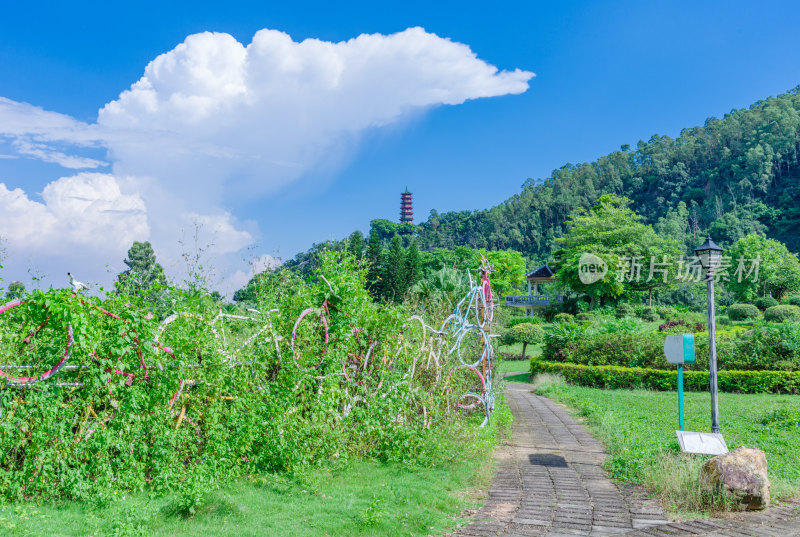 广州南沙蒲洲花园公园废弃自行车墙景观