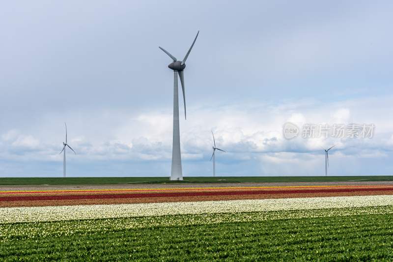 风力发电 清洁能源 风车