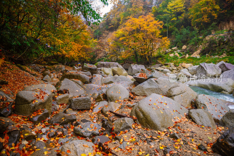 四川光雾山溪流风光