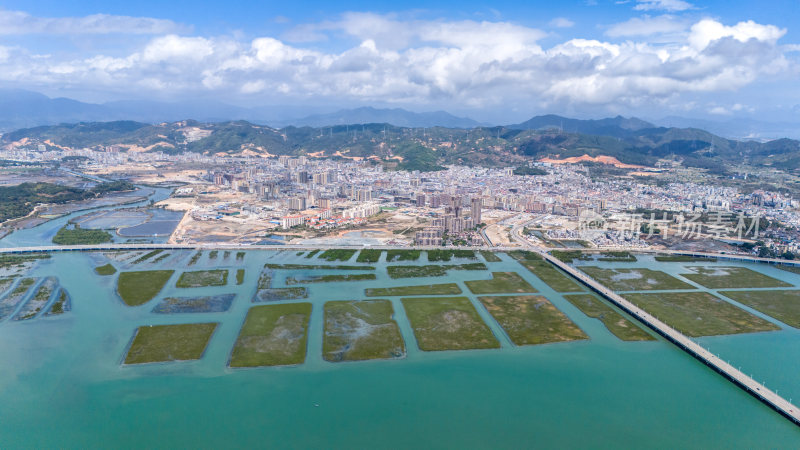 惠州盐洲海洋湿地公园-红树林湿地风光