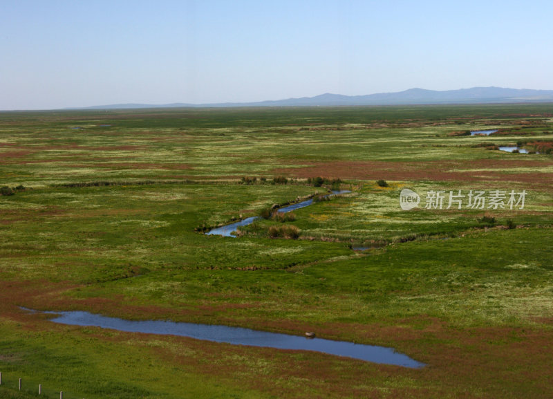 美丽的呼伦贝尔 草原风景 黑山头