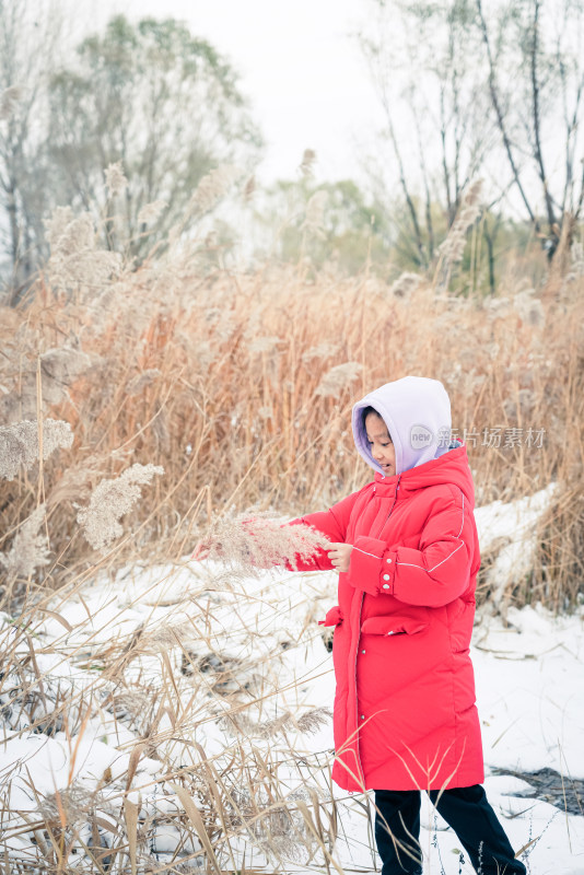 冬天在公园玩雪的中国女孩形象