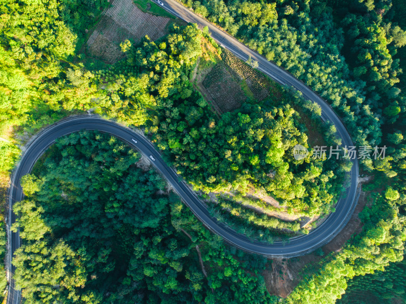 蜿蜒公路穿越茂盛丛林的鸟瞰图