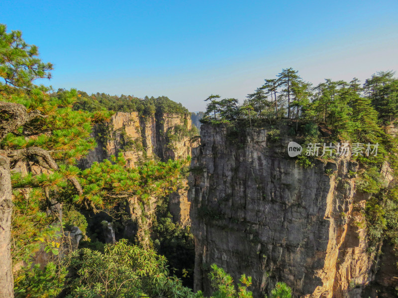 中国湖南张家界国家森林公园旅游风光