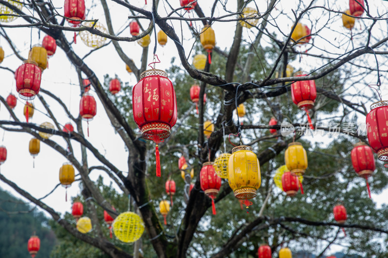 春节树上的多彩灯笼