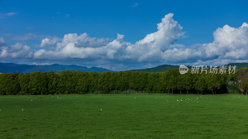 丽江拉市海湿地公园夏末风光茶马古道风景