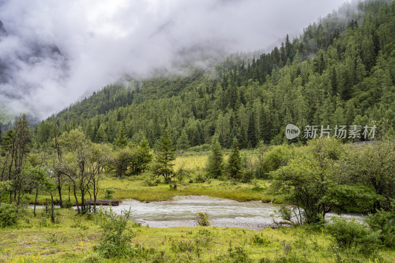 四川四姑娘山双桥沟自然风景