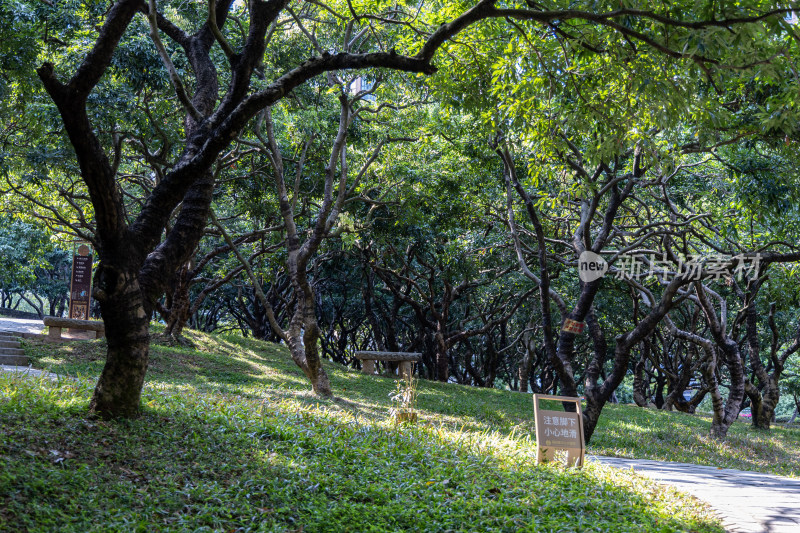 深圳市福田锦绣园