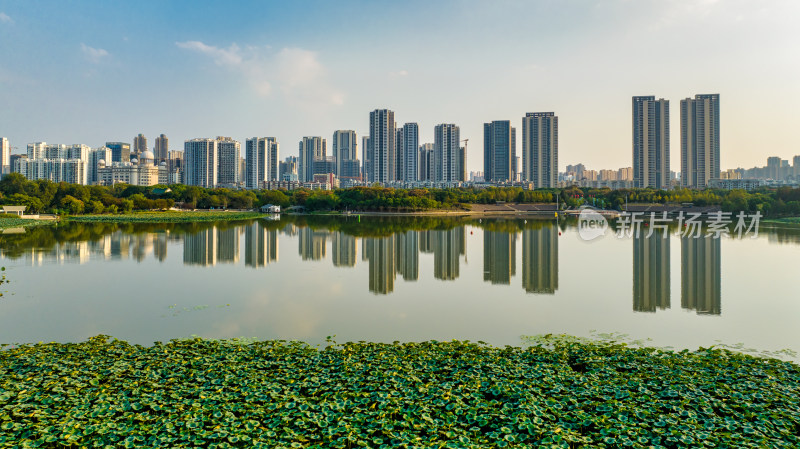 中国湖北武汉月湖风景区附近航拍