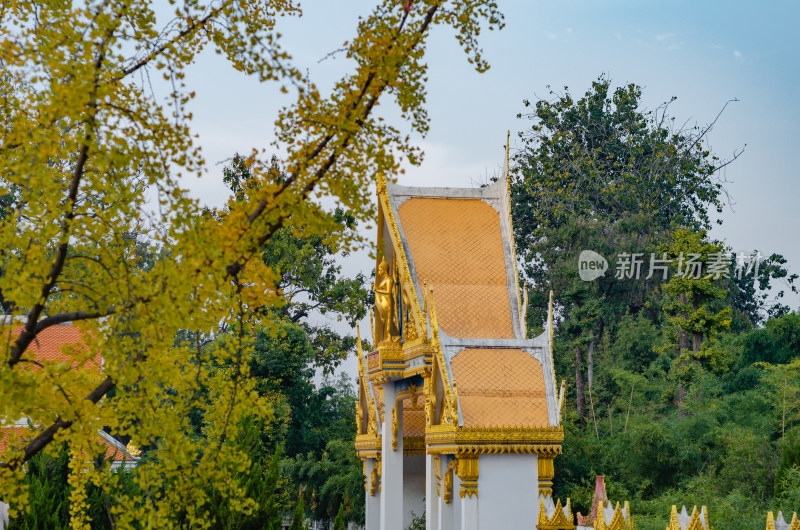 河南洛阳市白马寺泰国佛殿苑的泰式风格建筑