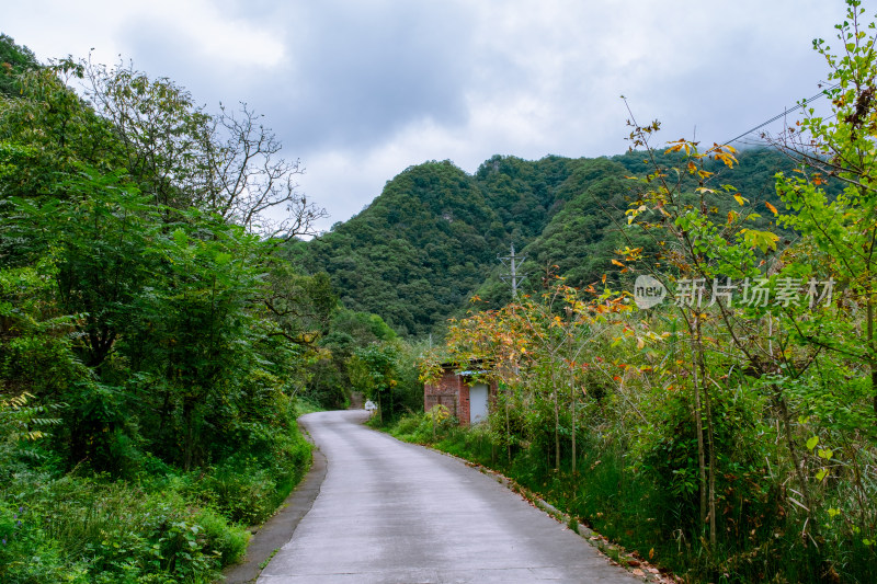 汉中留坝火烧店镇秦岭深处的山中小路