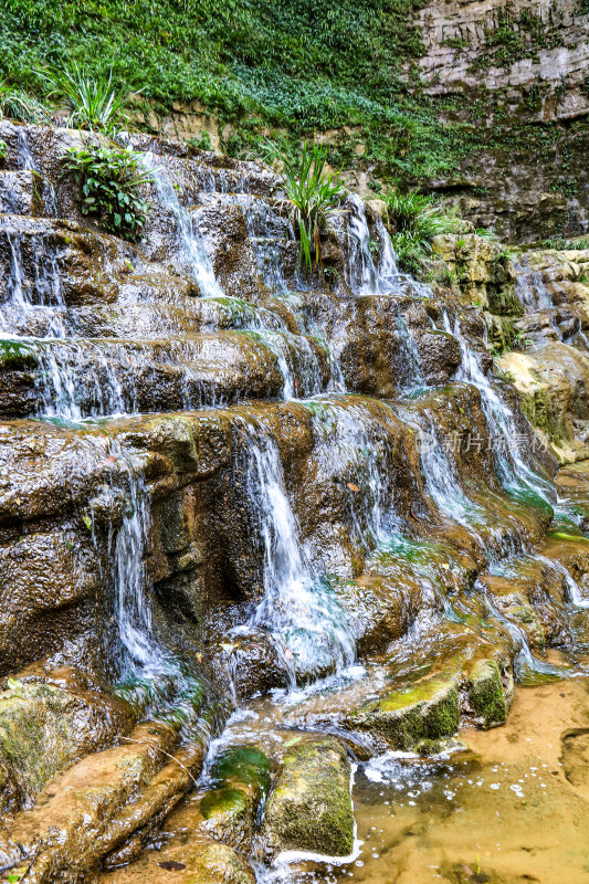 湖北宜昌三峡竹海风景区，自然风光，竹海