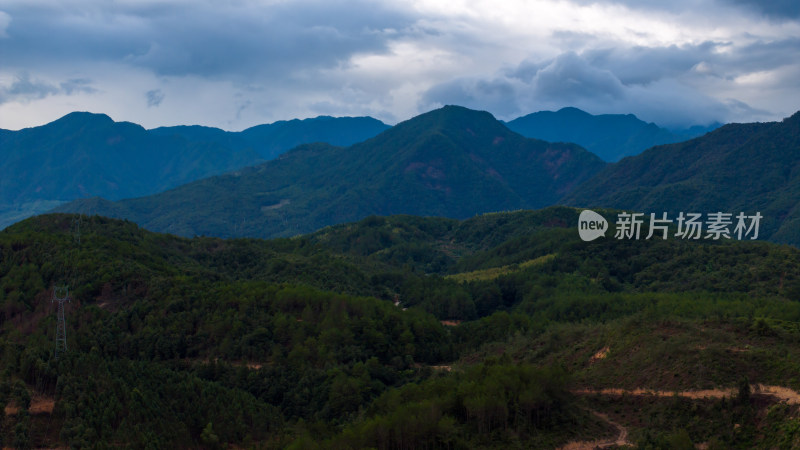 航拍福建南平武夷山森林