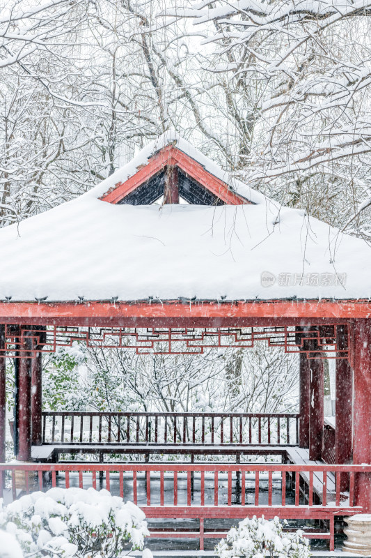 大雪中树林里的亭子