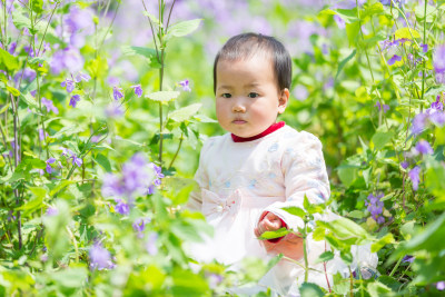 二月兰花丛里的可爱小宝宝