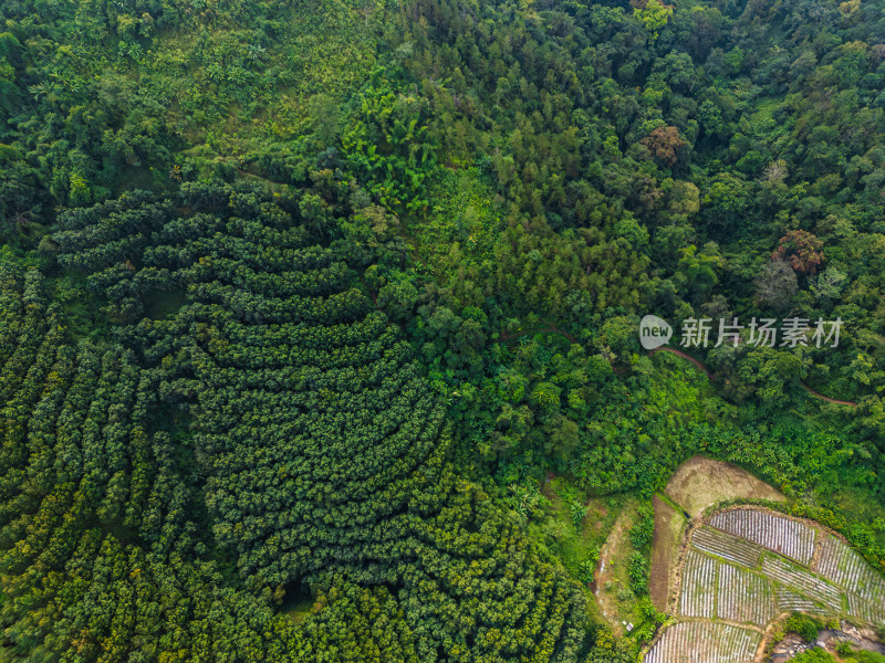 航拍山区绿色生态农业景观