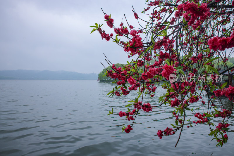 西湖风光