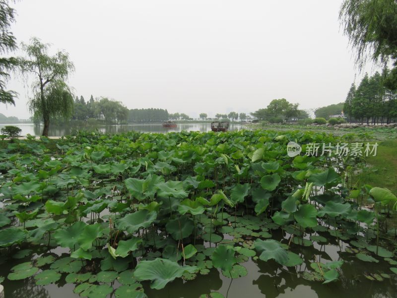 江苏无锡太湖鼋头渚风景区