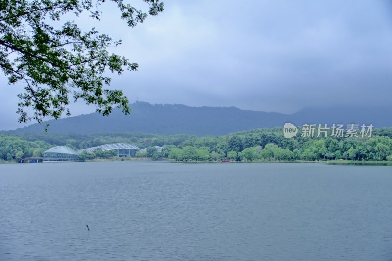 南京钟山景区 前湖 琵琶湖