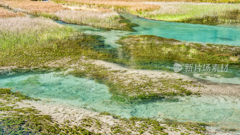 四川阿坝九寨沟景区秋天的湿地