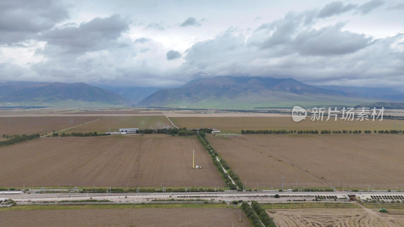 航拍青海门源县油菜种植基地摄影图