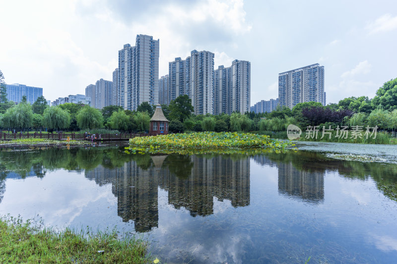 武汉关山荷兰风情园风景