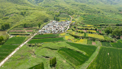 乡村振兴示范村--西安杨庄