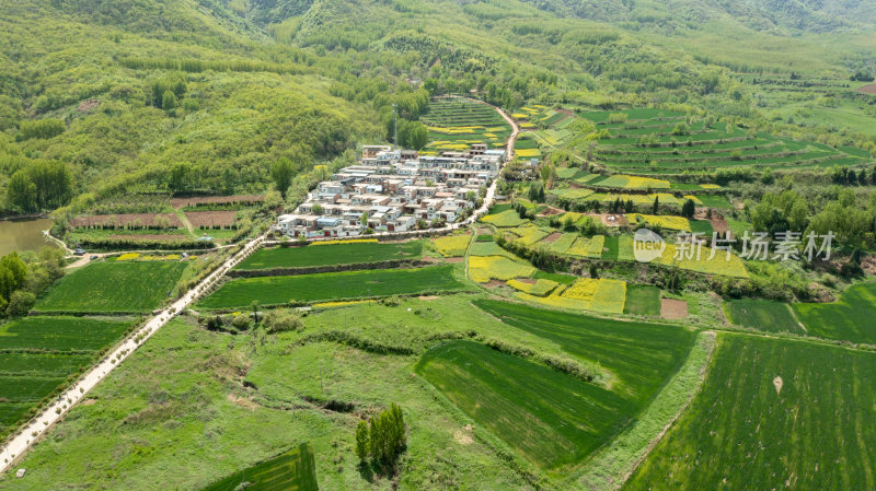 乡村振兴示范村--西安杨庄