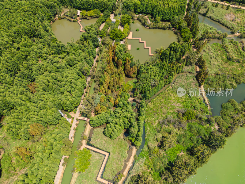 航拍昆明滇池捞鱼河湿地公园景观