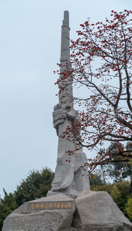 广州烈士陵园起义烈士纪念碑旁盛开的木棉花