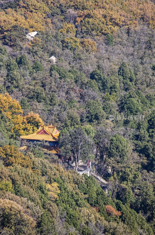 山林中的古建筑景观