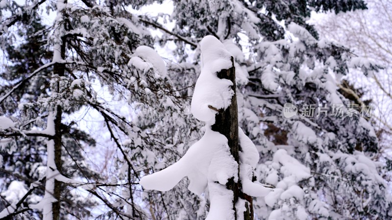 林海雪原