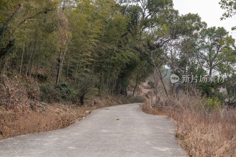 林间水泥路蜿蜒伸向远方