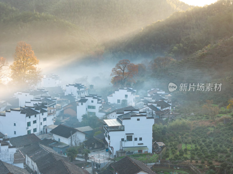 江西上饶婺源石城红枫网红景点日出晨雾航拍