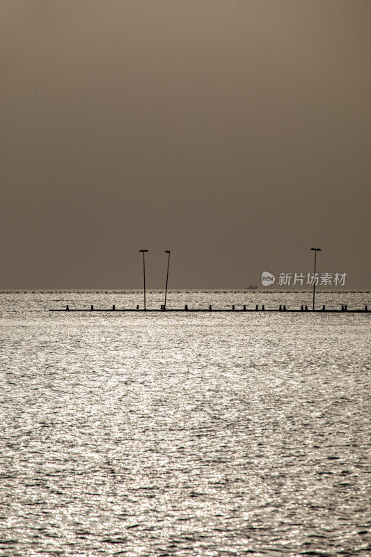 山东日照灯塔景区海上雾色日出景观