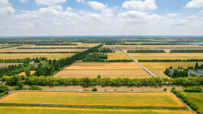 上海崇明岛跃进农场