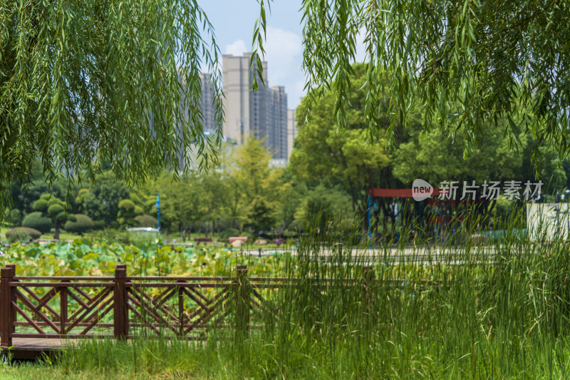 武汉关山荷兰风情园风景