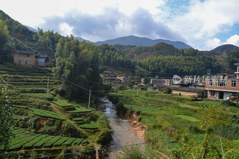 乡村俯瞰图，青山绿树环绕下的村落景象